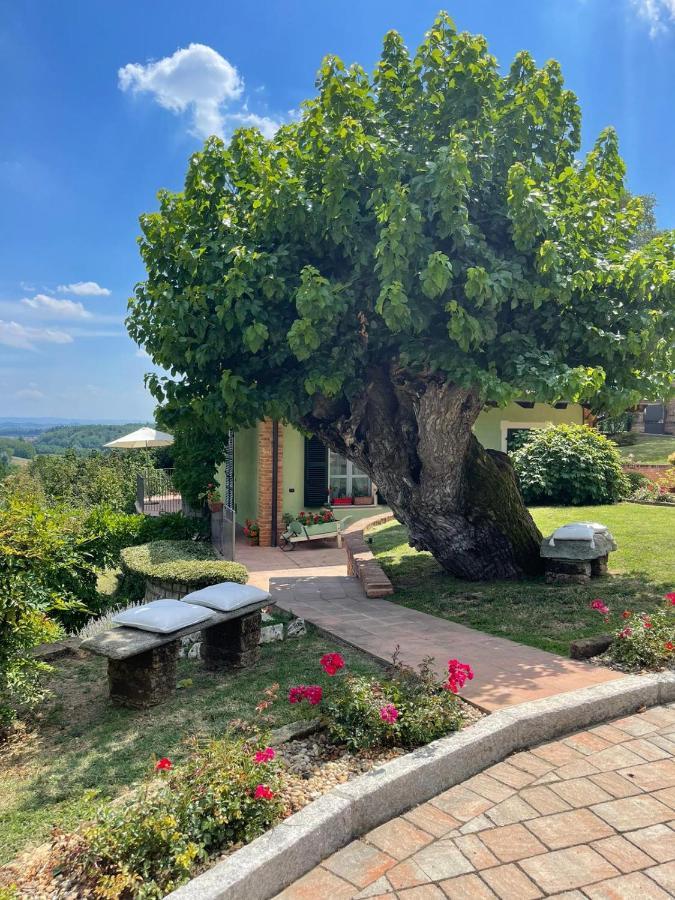 B&B La Bianchina Monale ภายนอก รูปภาพ